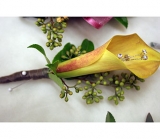 Pondelek's Florist & Gifts - Boutonnieres and Corsages