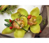 Pondelek's Florist & Gifts - Boutonnieres and Corsages