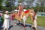 Groom Arrives - Groom arriving for Christian- Hindu ceremony on traditional white horse.