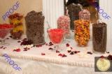 Candy Bar - Candy bars can be matched to your color or theme to add a unique aspect to your reception.